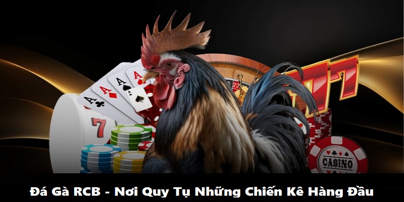 Đá Gà RCB là nơi diễn ra các trận đấu hấp dẫn của những chiến kê hàng đầu 