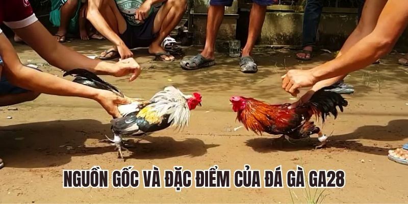 GA28 liên kết với các đấu trường nổi tiếng nhằm thu hút nhiều người tham gia