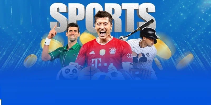 Panda Sports hiện đang phát triển mạnh mẽ trên thị trường cá cược