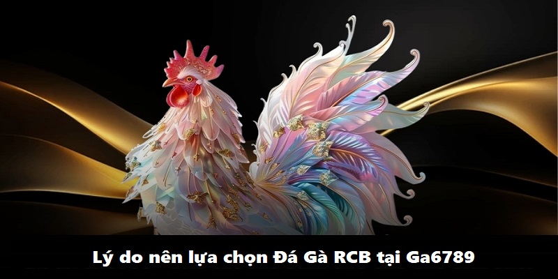 CSKH giải đáp mọi thắc mắc cho người chơi cảm giác an toàn nhất khi cá cược