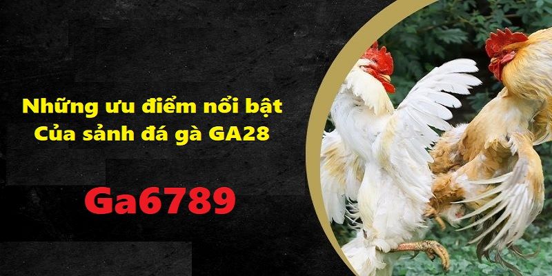 Ưu điểm vượt trội của Đá Gà GA28 là khả năng cập nhật kết quả ngay lập tức