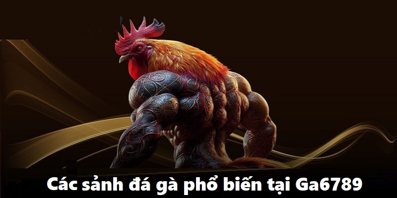 SV388, GA28 và RCB là các sảnh đá gà không thể bỏ qua khi đến Ga6789