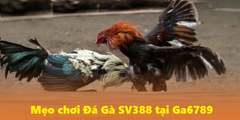 Nhiều ưu đãi hấp dẫn là lý do SV388 thu hút hàng ngàn lượt chơi hàng ngày