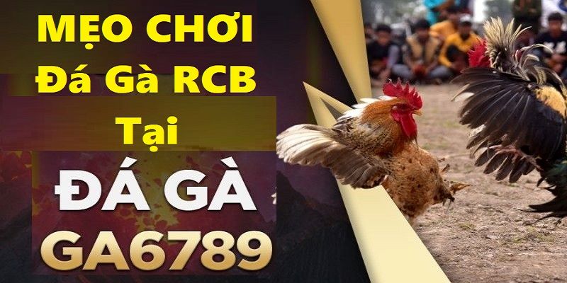 Chia nhỏ vốn là chiến lược đầu tư thông minh khi tham gia tại Đá Gà RCB