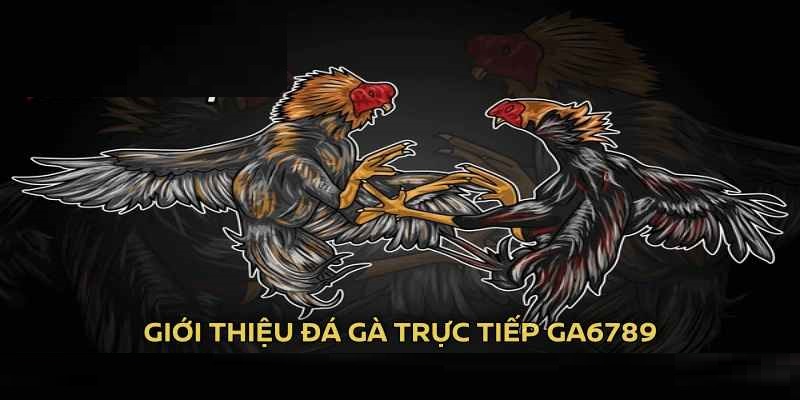 Đá Gà Ga6789 là nền tảng cá cược trực tuyến uy tín nhất 2025