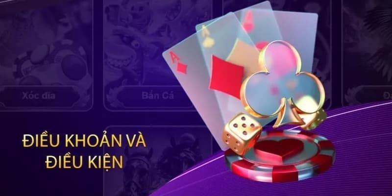 Cả người chơi và nhà cái đều phải có trách nhiệm trong thực hiện điều khoản điều kiện