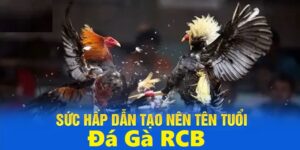 Đá Gà RCB