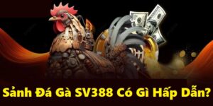 Đá Gà SV388